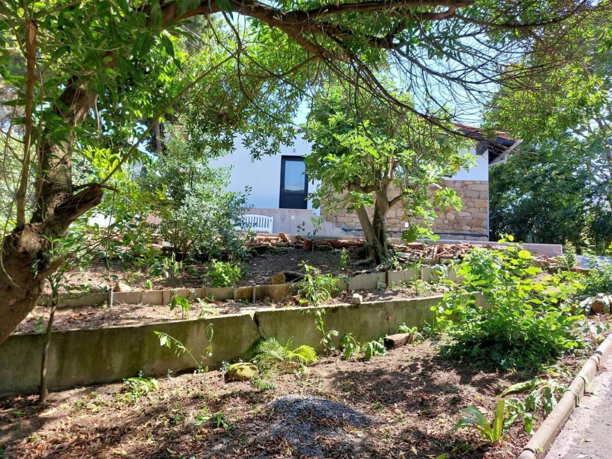 Getxo Garden Houses - The Suite Екстериор снимка